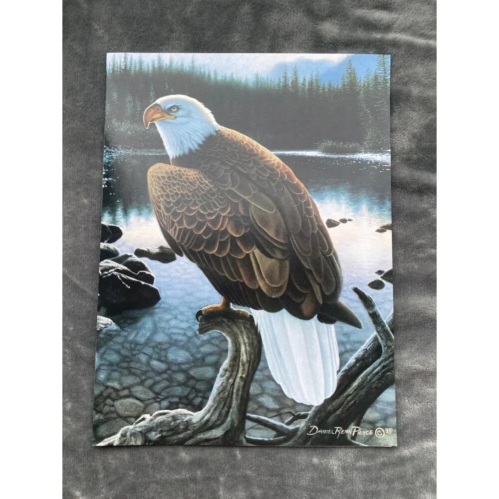 EAGLE PORTRAIT VTG Daniel Renn Pierce Birthday Greeting Card Magnet Leanin' Tree